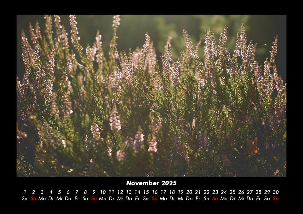 Weitere Ansicht: Pflanzen und Blüten 2025 Fotokalender DIN A3 | Tobias Becker