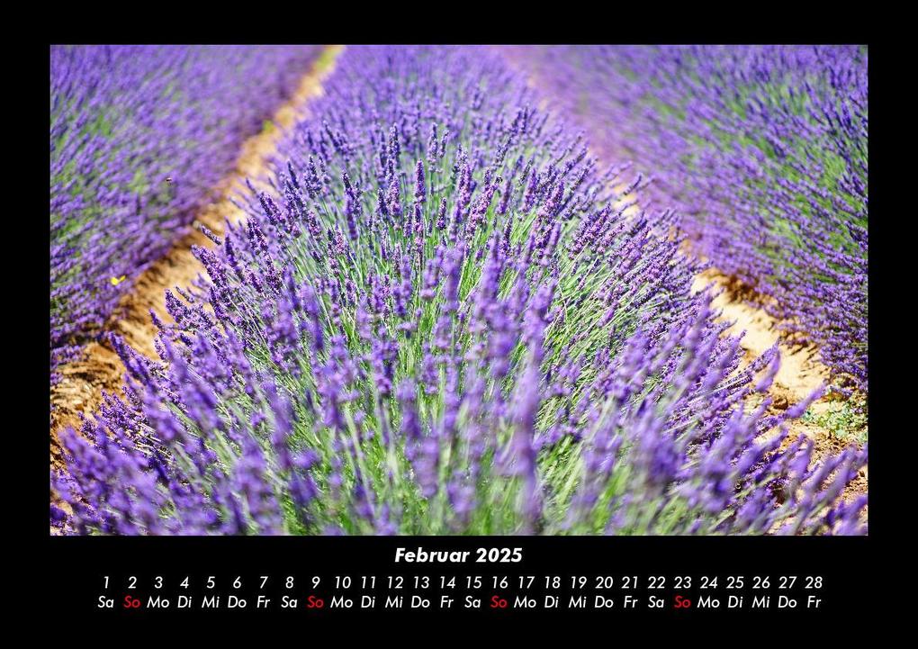 Weitere Ansicht: Pflanzen und Blüten 2025 Fotokalender DIN A3 | Tobias Becker