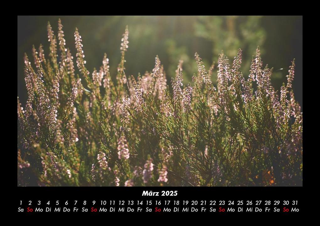 Weitere Ansicht: Pflanzen und Blüten 2025 Fotokalender DIN A3 | Tobias Becker