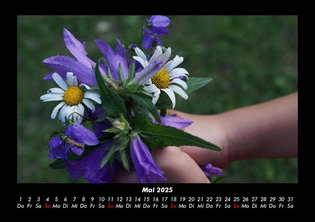 Weitere Ansicht: Pflanzen und Blüten 2025 Fotokalender DIN A3 | Tobias Becker