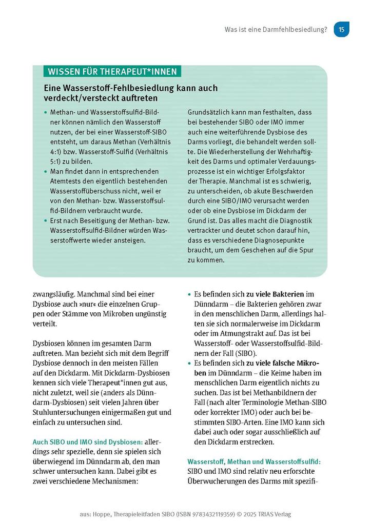 Weitere Ansicht: Therapieleitfaden SIBO | Gabriela Hoppe