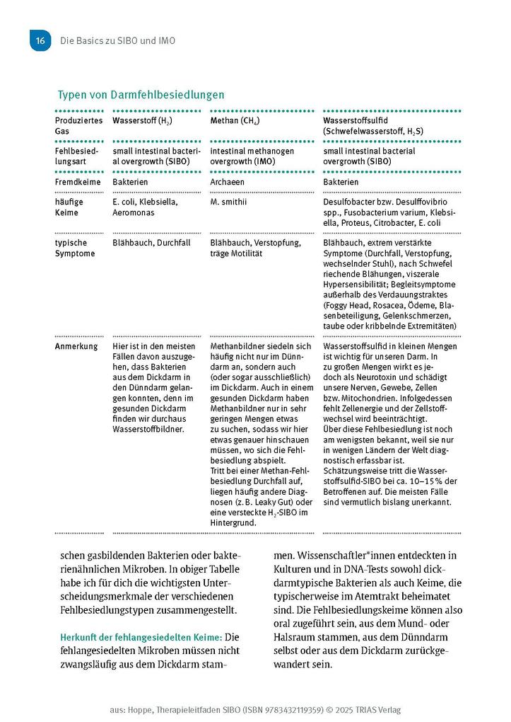 Weitere Ansicht: Therapieleitfaden SIBO | Gabriela Hoppe