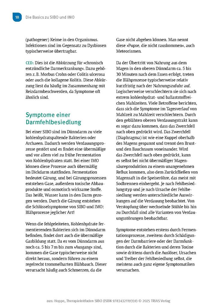 Weitere Ansicht: Therapieleitfaden SIBO | Gabriela Hoppe
