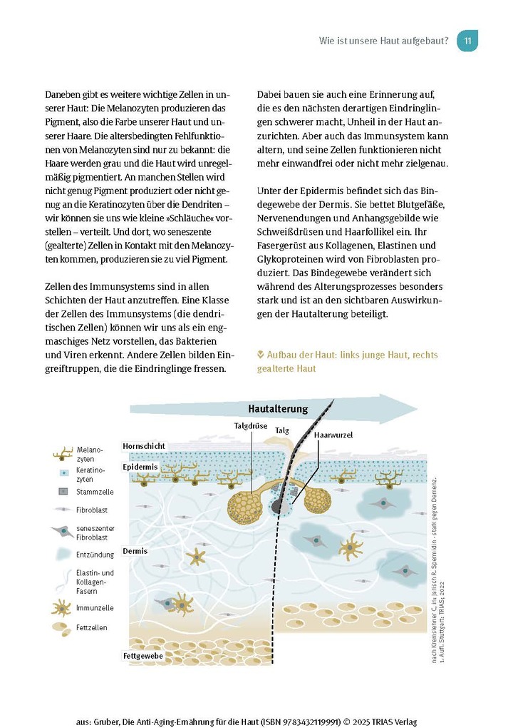Weitere Ansicht: Die Anti-Aging-Ernährung für die Haut | Florian Gruber