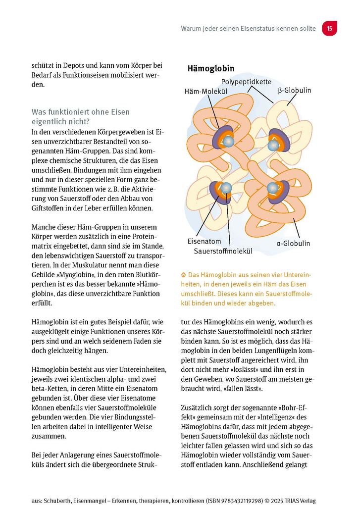 Weitere Ansicht: Eisenmangel - Erkennen, therapieren, kontrollieren | Christian Schuberth