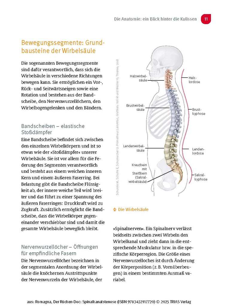 Weitere Ansicht: Der Rücken-Doc: Spinalkanalstenose | Alexander Romagna