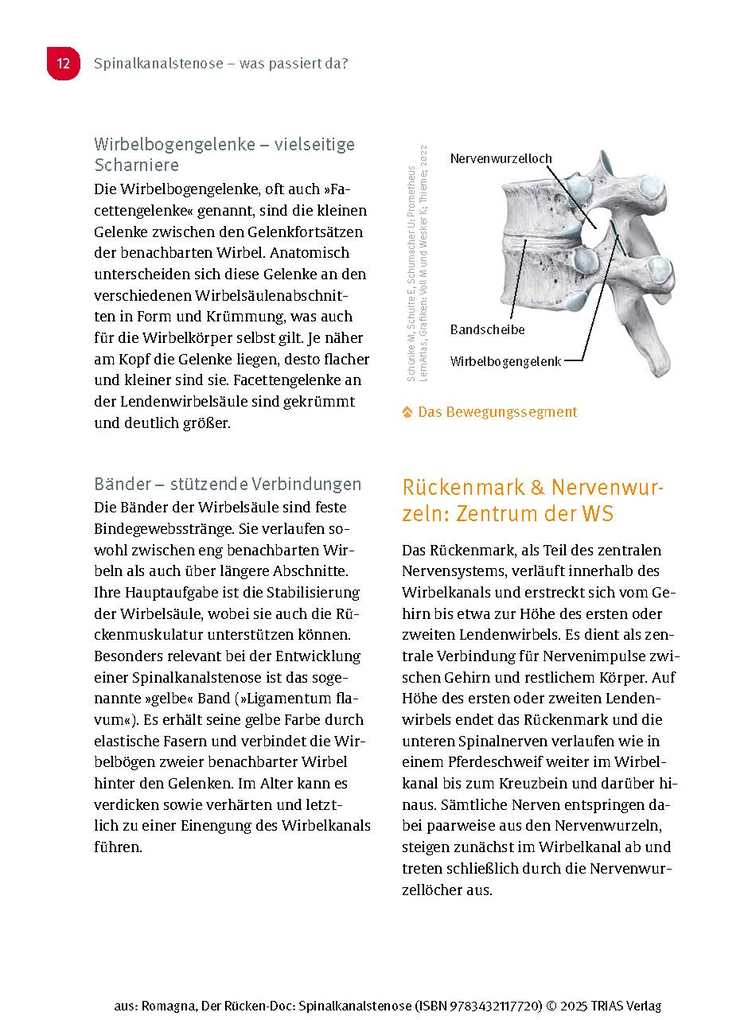 Weitere Ansicht: Der Rücken-Doc: Spinalkanalstenose | Alexander Romagna