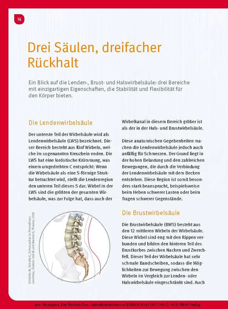 Weitere Ansicht: Der Rücken-Doc: Spinalkanalstenose | Alexander Romagna