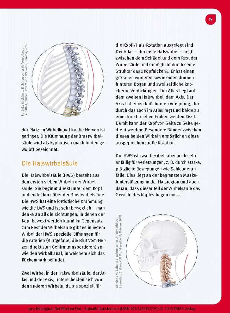 Weitere Ansicht: Der Rücken-Doc: Spinalkanalstenose | Alexander Romagna