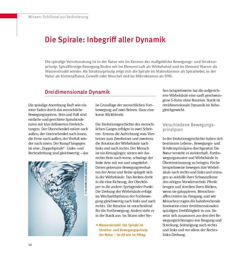 Weitere Ansicht: Skoliose - Aufrecht durch Bewegung | Christian Larsen, Karin Rosmann-Reif