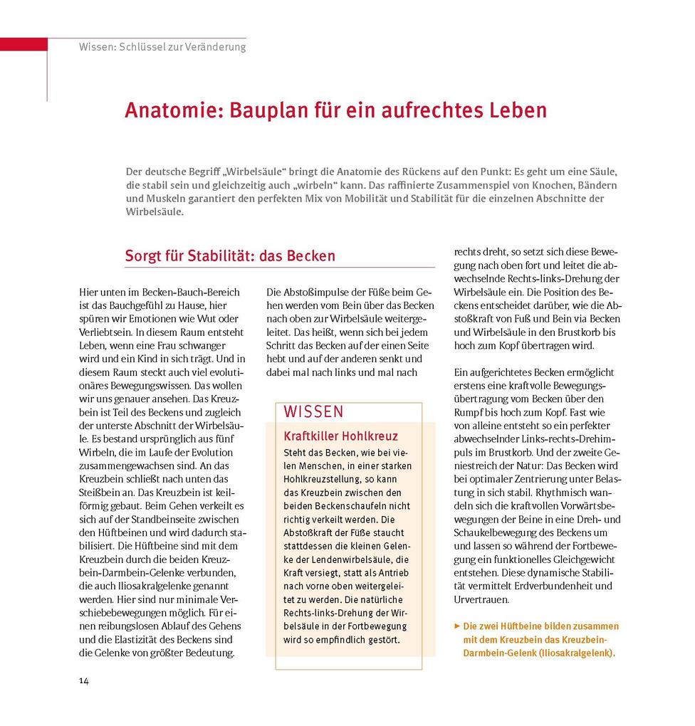 Weitere Ansicht: Skoliose - Aufrecht durch Bewegung | Christian Larsen, Karin Rosmann-Reif