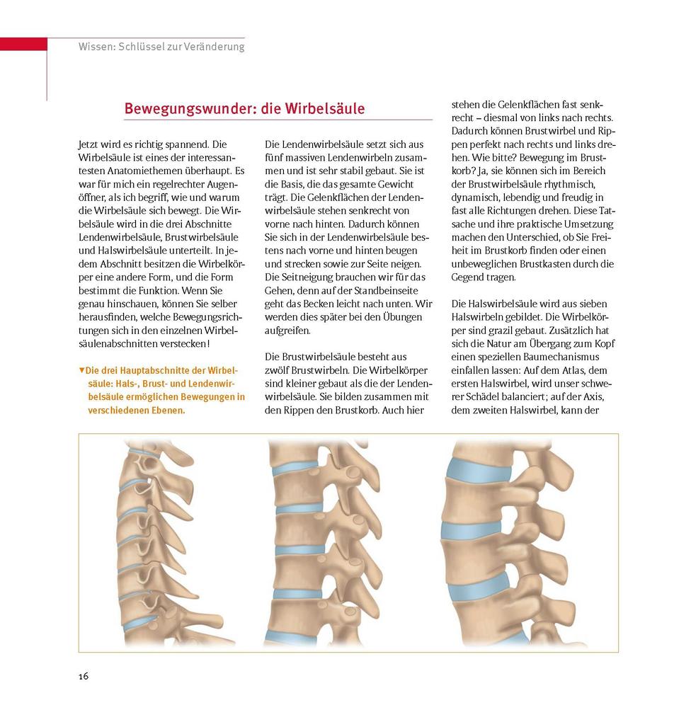 Weitere Ansicht: Skoliose - Aufrecht durch Bewegung | Christian Larsen, Karin Rosmann-Reif