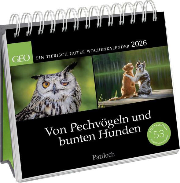 Produktbild: Postkartenkalender 2026: Von Pechvögeln und bunten Hunden | Geo