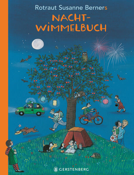 Produktbild: Nacht-Wimmelbuch | Rotraut Susanne Berner