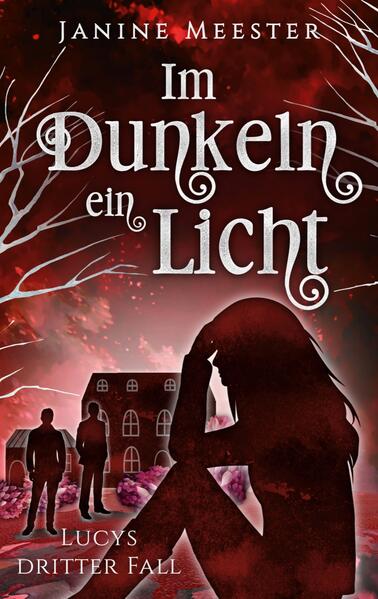 Produktbild: Im Dunkeln ein Licht | Janine Meester