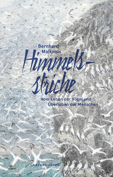 Produktbild: Himmelsstriche | Bernhard Malkmus