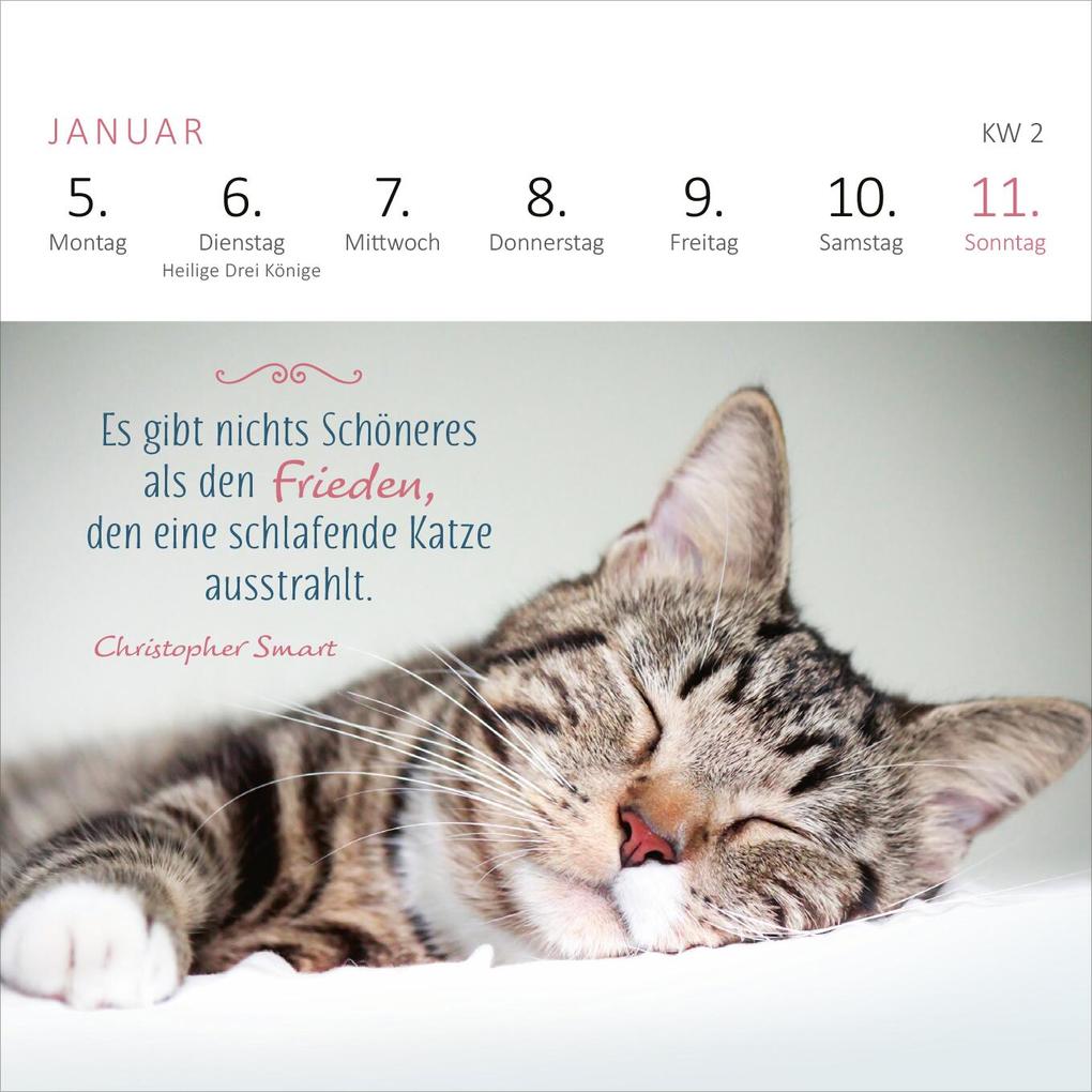 Weitere Ansicht: Mini-Wochenkalender Katzenweisheiten 2026