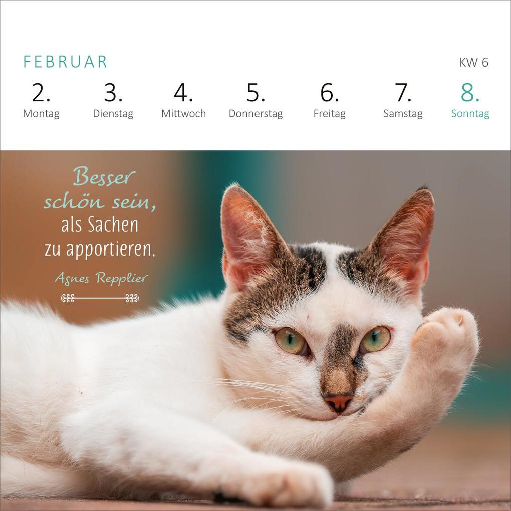 Weitere Ansicht: Mini-Wochenkalender Katzenweisheiten 2026