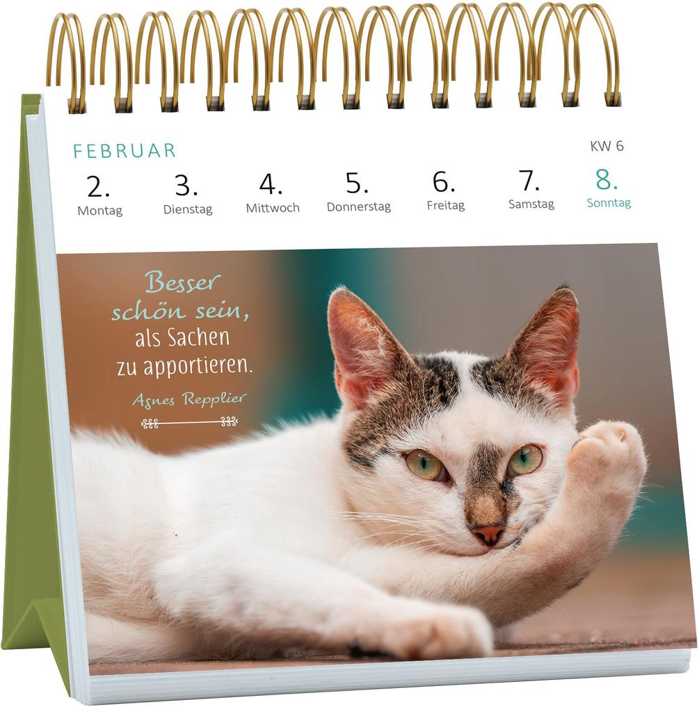 Weitere Ansicht: Mini-Wochenkalender Katzenweisheiten 2026