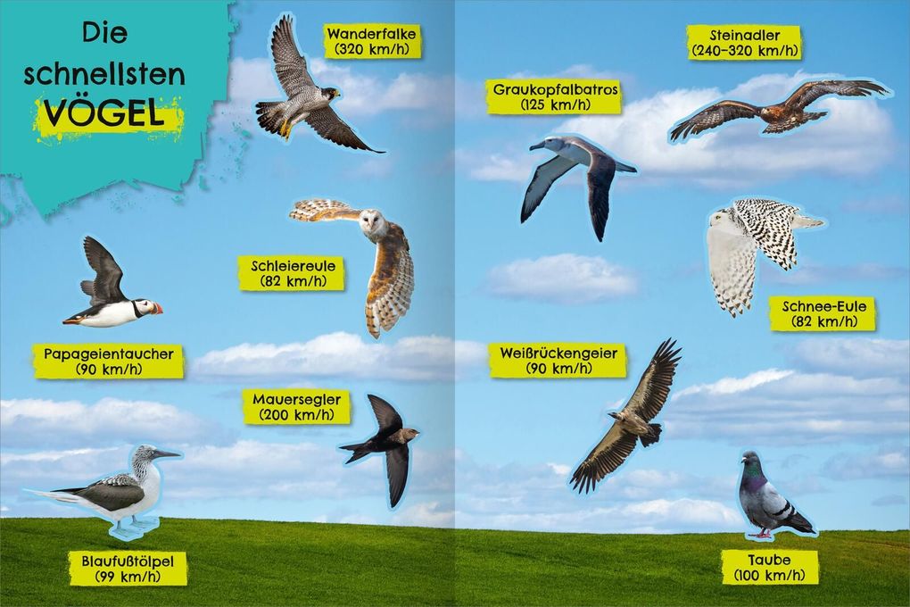 Weitere Ansicht: Das schnellste Stickerheft der Welt
