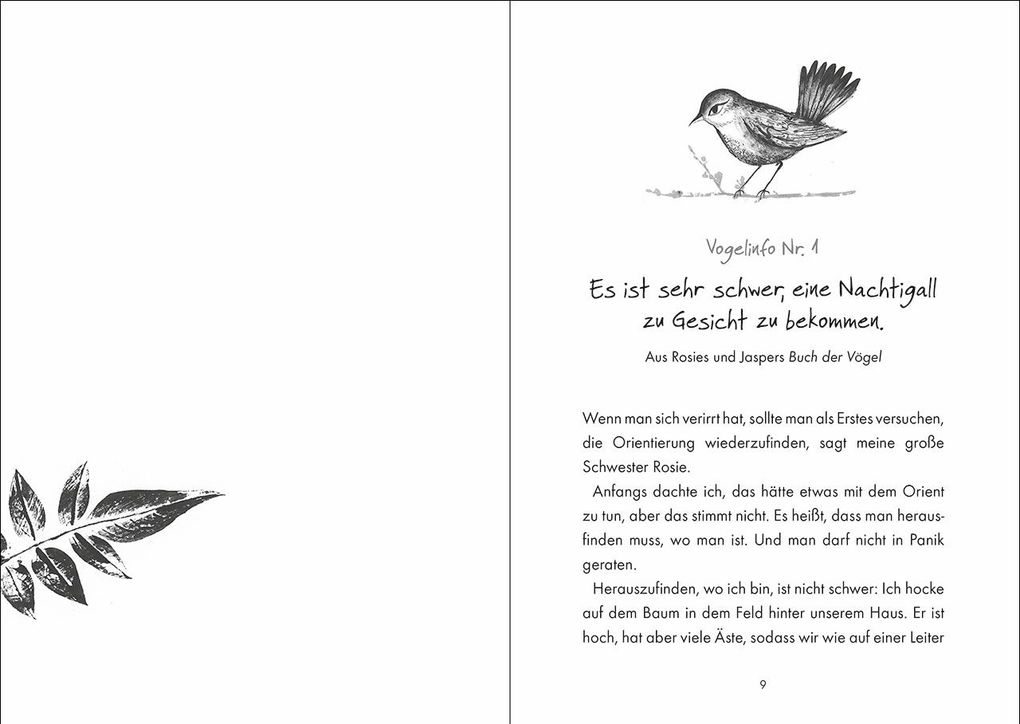 Weitere Ansicht: Jasper und das Lied der Nachtigall | Sarah Ann Juckes