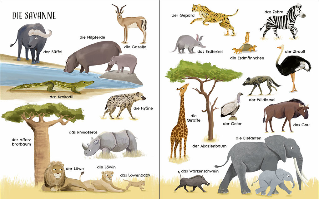 Weitere Ansicht: Entdecke die Welt der Tiere - Mein schönstes Bildwörterbuch