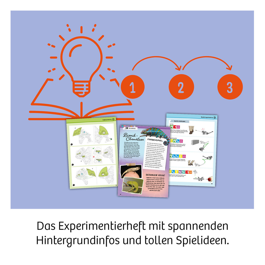 Weitere Ansicht: Carl - Das Chamäleon