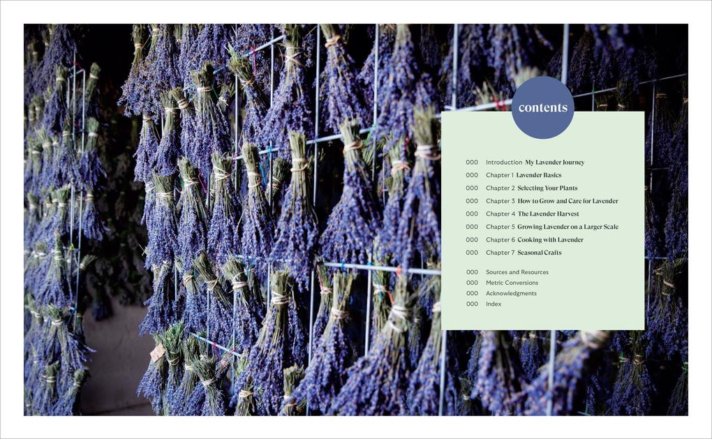 Weitere Ansicht: Lavender for All Seasons | Paola Legarre