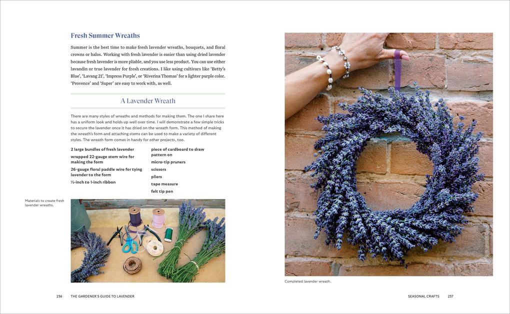 Weitere Ansicht: Lavender for All Seasons | Paola Legarre