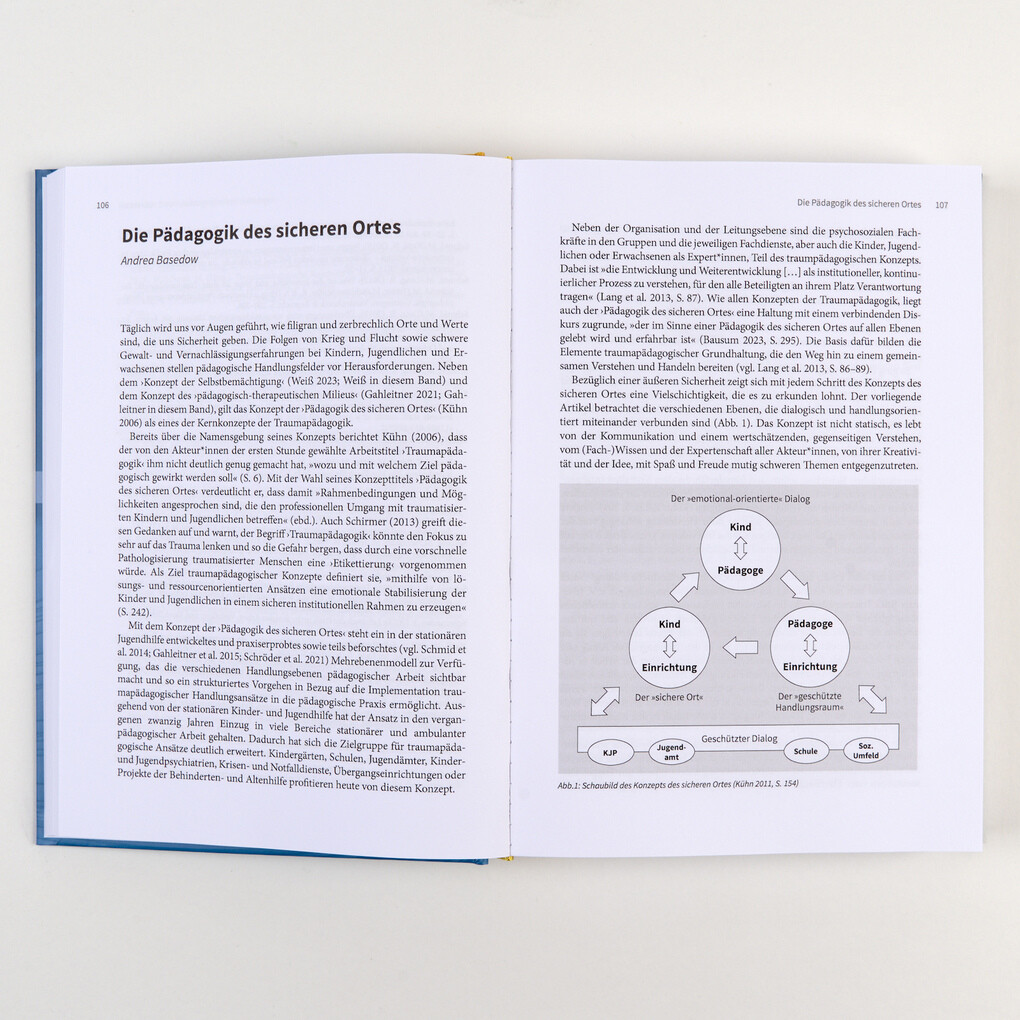 Weitere Ansicht: Handbuch Traumapädagogik