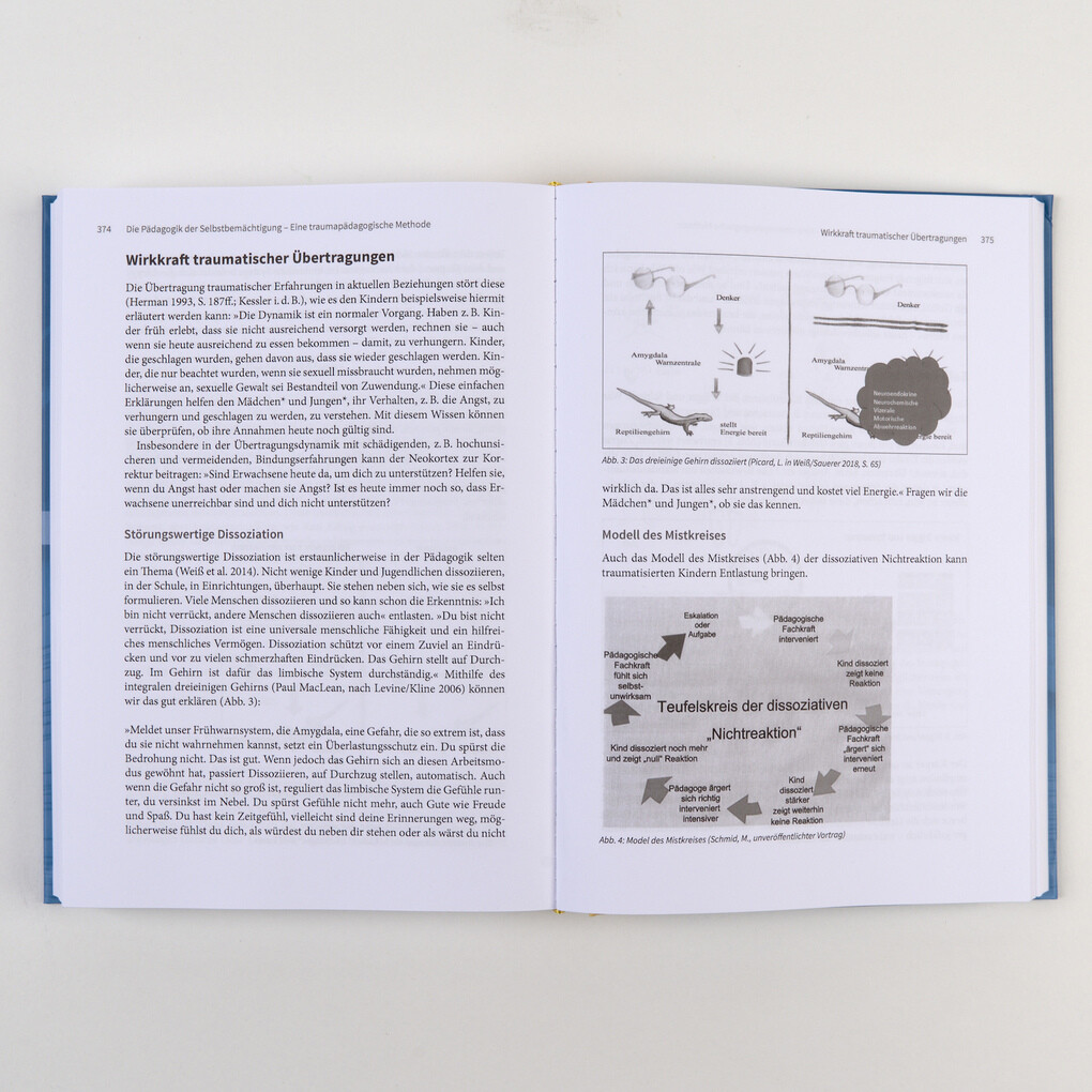 Weitere Ansicht: Handbuch Traumapädagogik