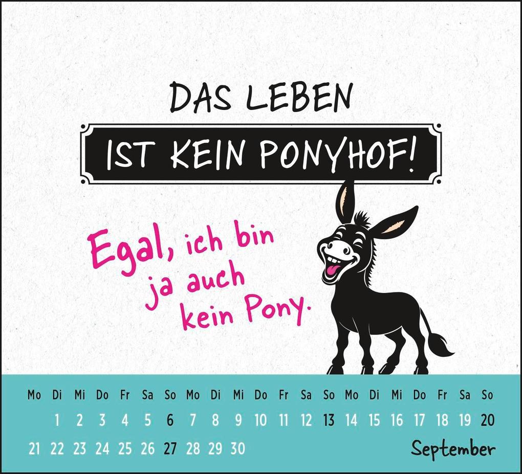 Weitere Ansicht: Mini-Kalender 2026: wird bestimmt besshahahaha