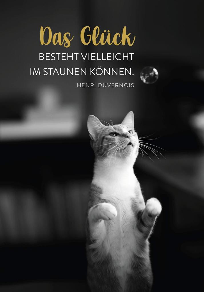 Weitere Ansicht: Buchkalender 2026: Für Katzenfreunde