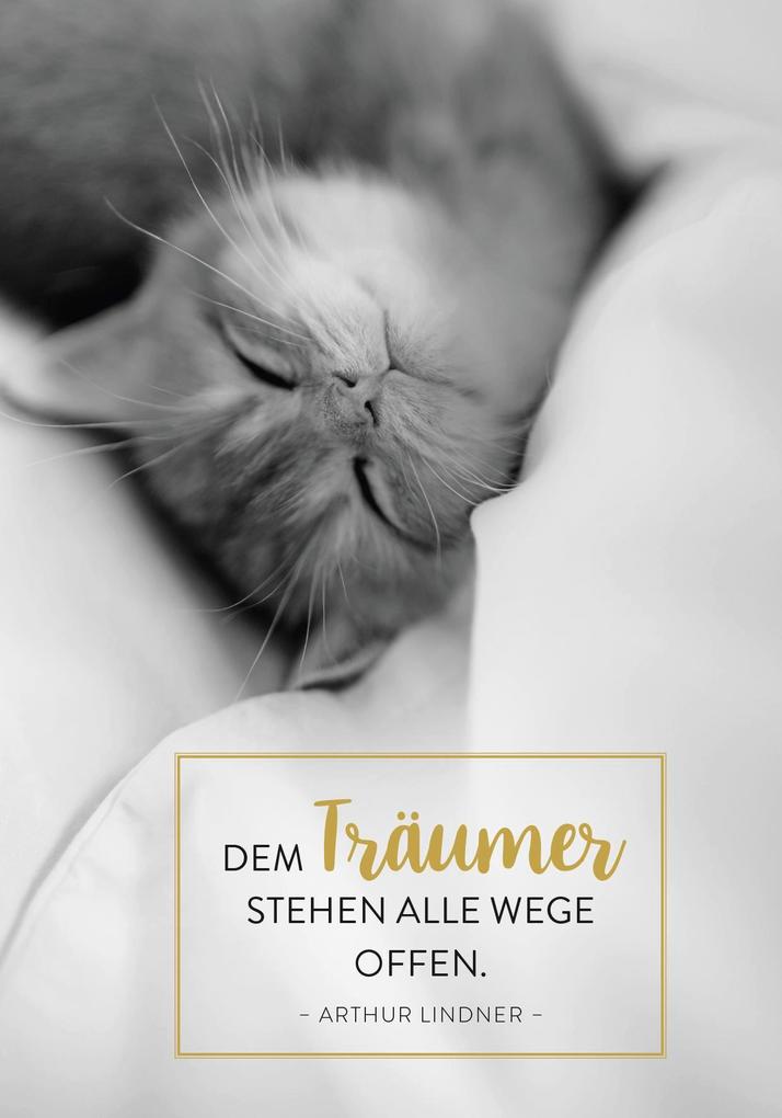Weitere Ansicht: Buchkalender 2026: Für Katzenfreunde