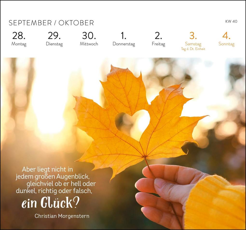 Weitere Ansicht: Postkartenkalender 2026: Jeden Tag ein Stück vom Glück | Julia Buck