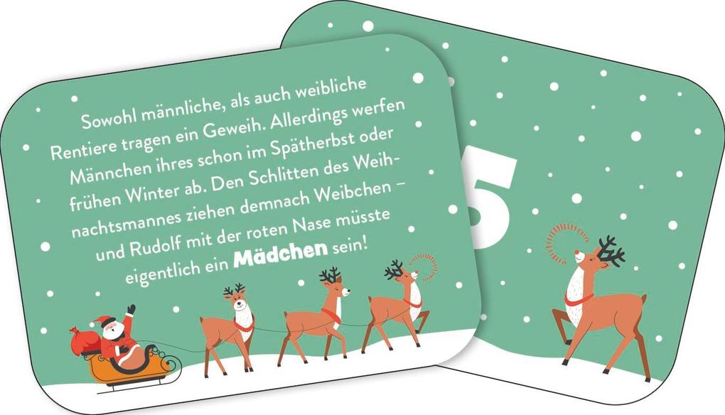 Weitere Ansicht: 24 x cooles Weihnachtswissen für Kinder | Klara Wiesel