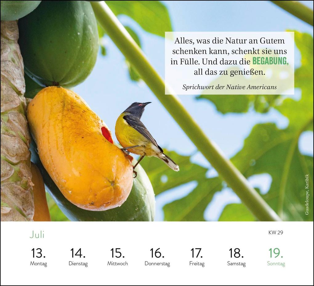 Weitere Ansicht: Wochenkalender 2026: Sehnsuchtsorte