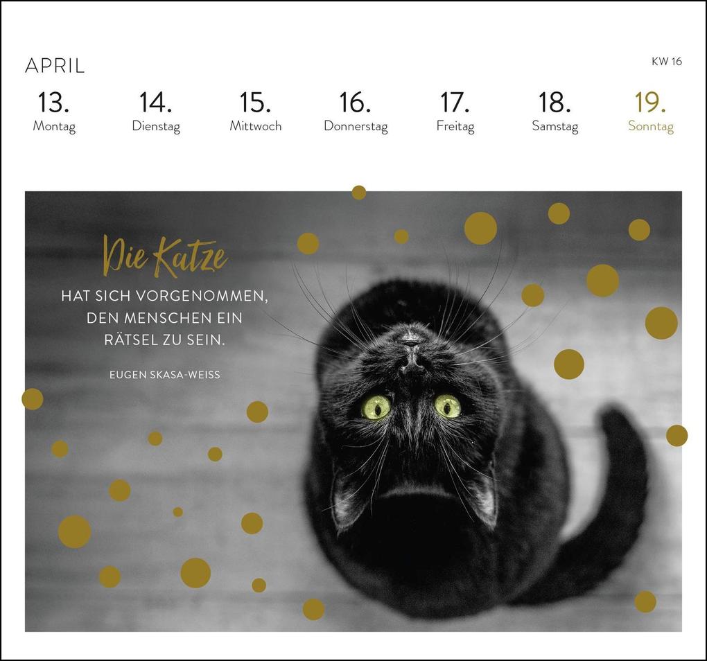 Weitere Ansicht: Postkartenkalender 2026: Inspirierende Worte für Katzenfreunde