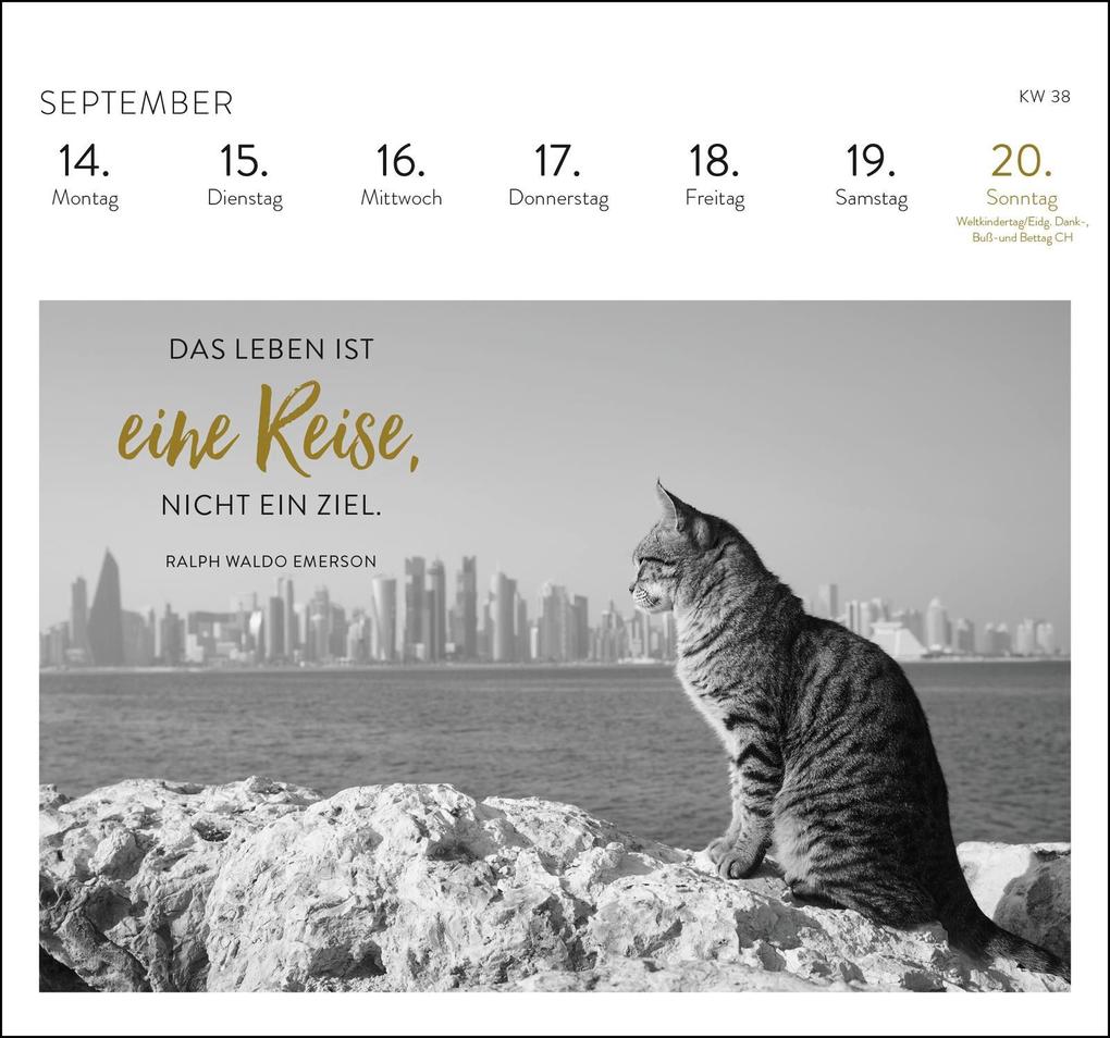 Weitere Ansicht: Postkartenkalender 2026: Inspirierende Worte für Katzenfreunde