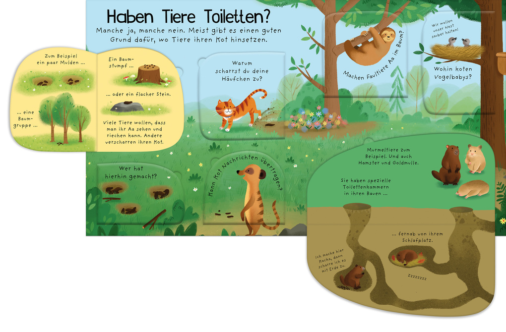 Weitere Ansicht: Erstes Aufklappen und Verstehen: Alle müssen mal, und dann?