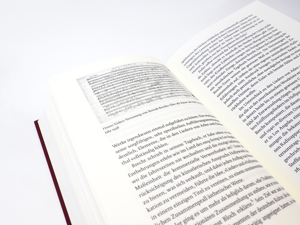 Weitere Ansicht: Die Musik der Fremde. Komponisten im Exil | Michael Haas