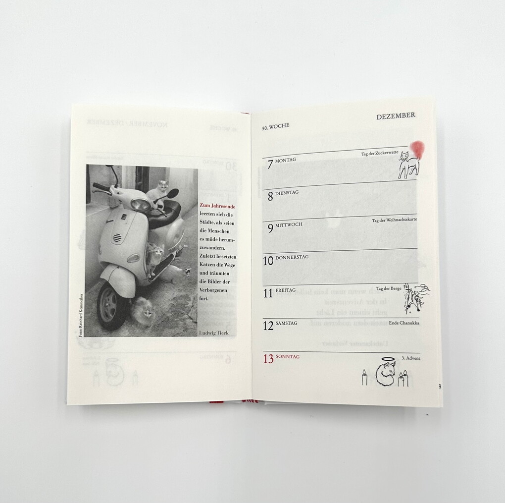 Weitere Ansicht: Katzen Taschenkalender 2026 | Julia Bachstein