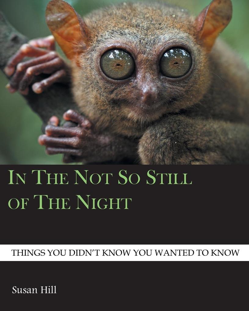 Produktbild: In the Not So Still of the Night | Susan Hill
