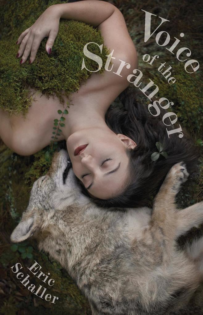 Produktbild: Voice of the Stranger | Eric Schaller