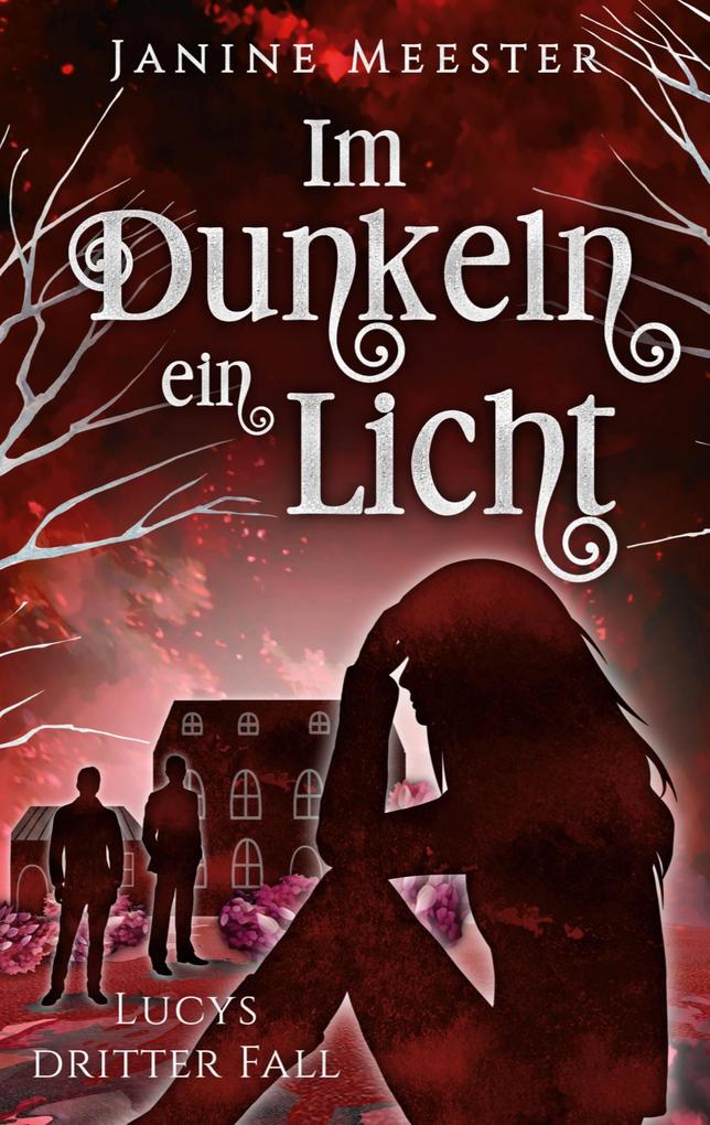 Produktbild: Im Dunkeln ein Licht | Janine Meester