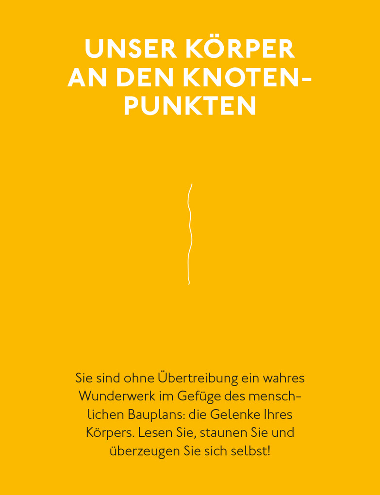 Weitere Ansicht: Fitte und starke Gelenke | med. Wolfgang Schillings, Wolfgang Schillings