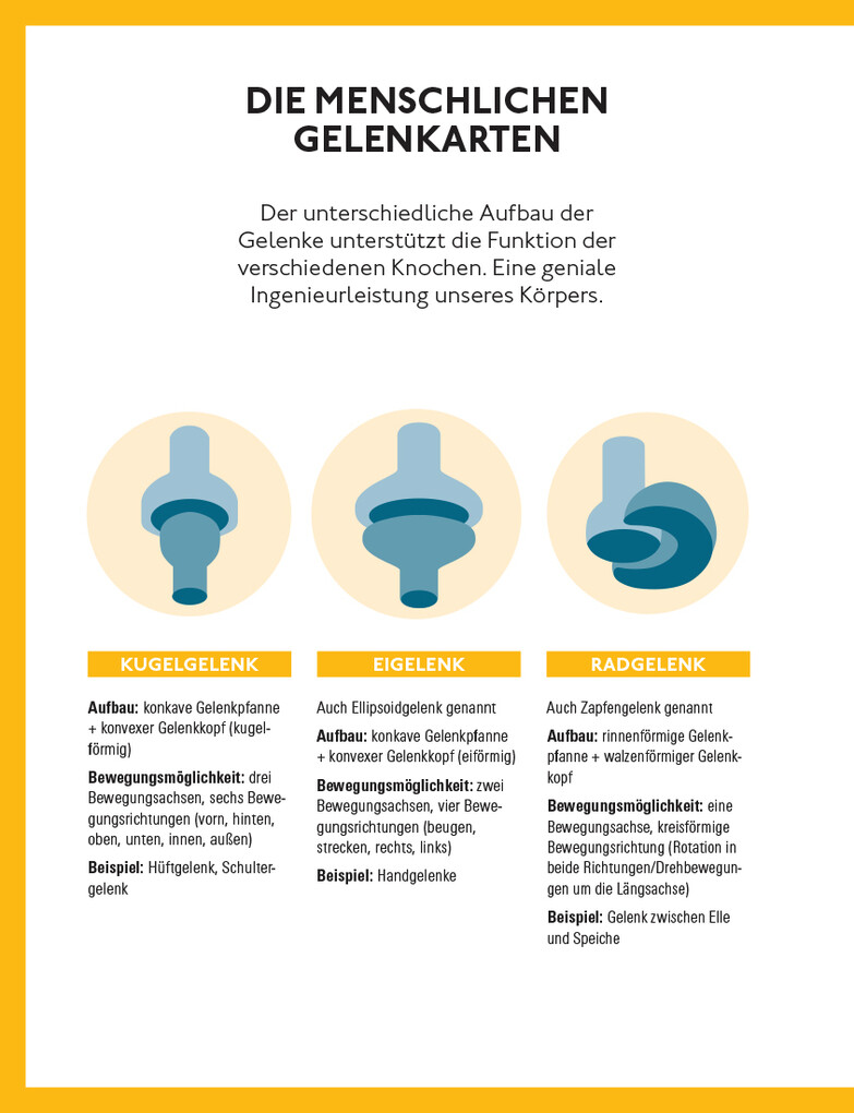Weitere Ansicht: Fitte und starke Gelenke | med. Wolfgang Schillings, Wolfgang Schillings