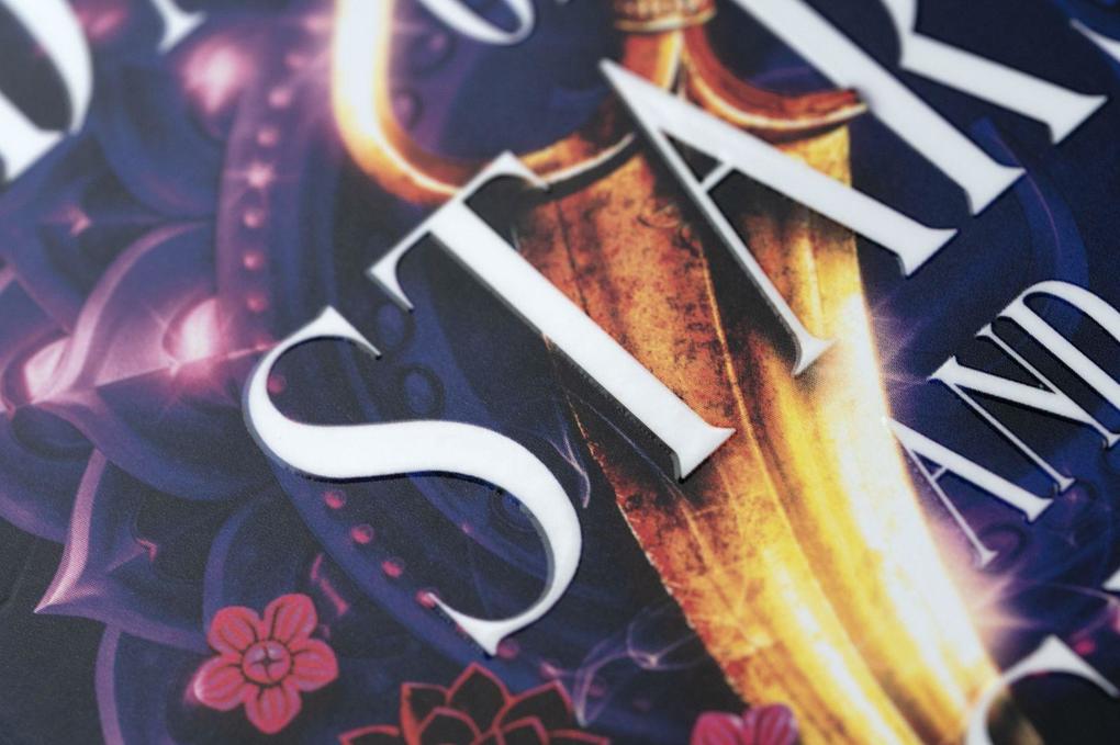 Weitere Ansicht: Dance of Stars and Ashes | Nisha J. Tuli