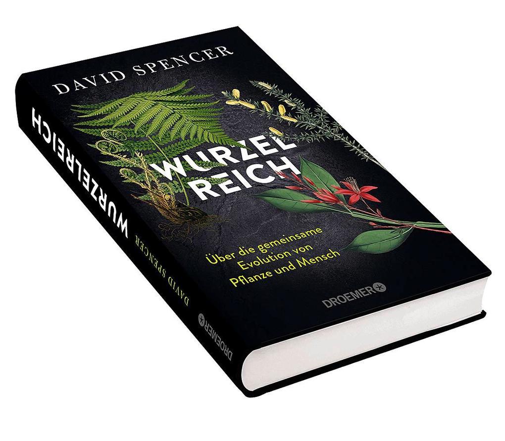 Weitere Ansicht: Wurzelreich | David Spencer