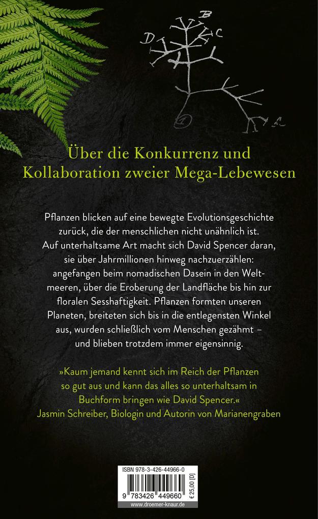 Weitere Ansicht: Wurzelreich | David Spencer